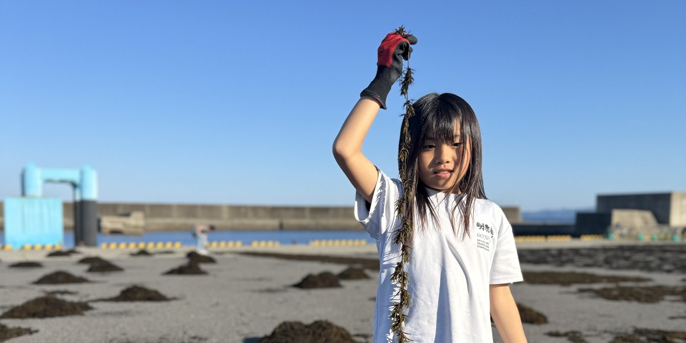 海辺での活動の様子