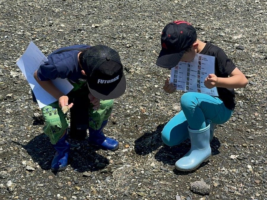 干潟で、観察シートを手に生きものを調べる子どもたち